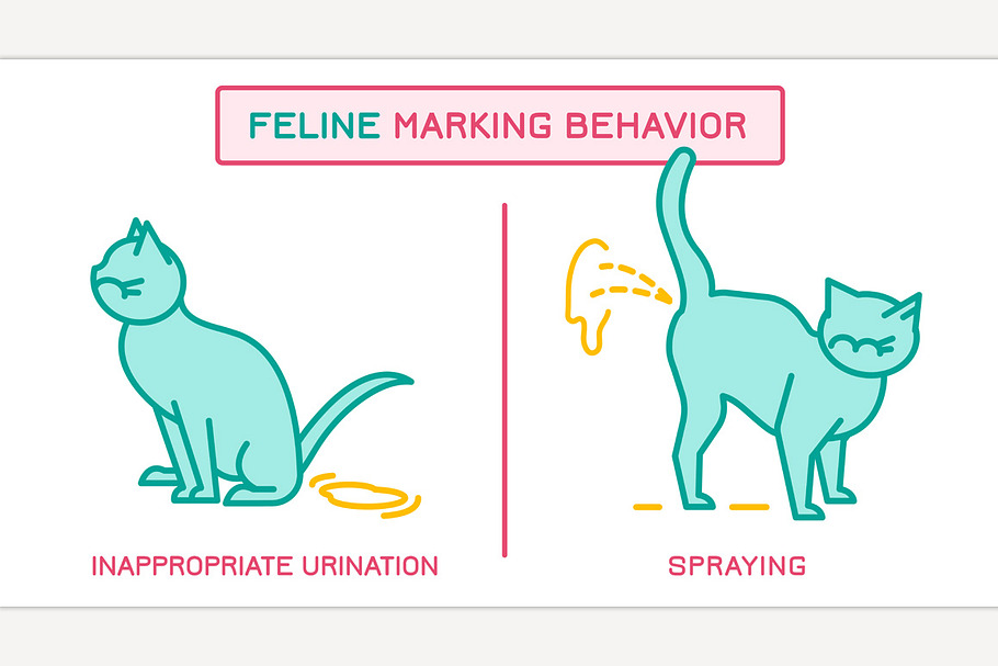 Cat Marking Behavior in Icons - product preview 8