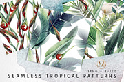 Tropical Patterns (PNG+JPEG)