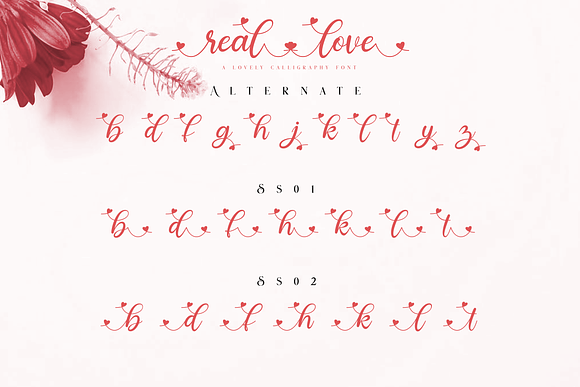 Real love // A lovely Calligraphy in Script Fonts - product preview 7