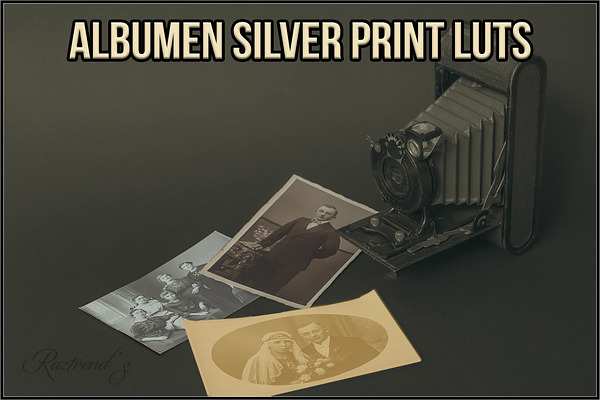 Albumen Silver Print LUTs