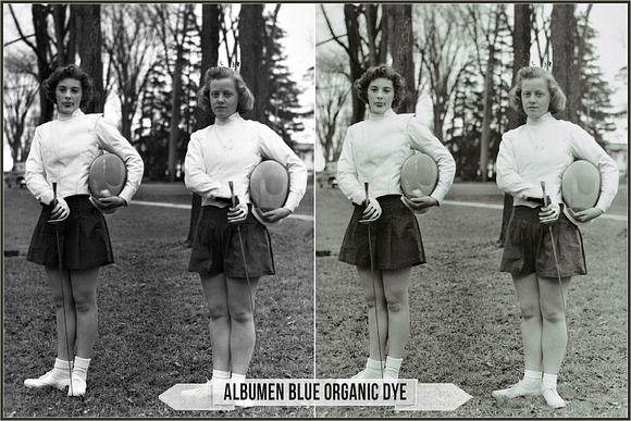 Albumen Silver Print LUTs in Add-Ons - product preview 5