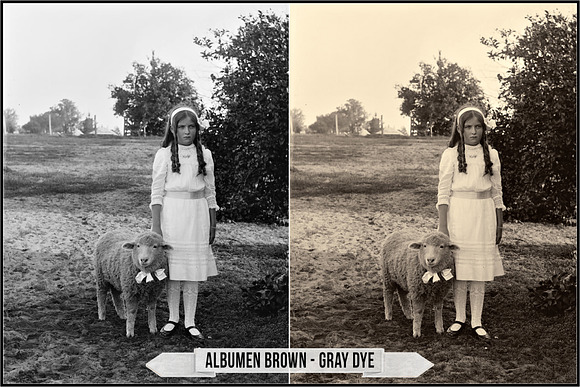 Albumen Silver Print LUTs in Add-Ons - product preview 12