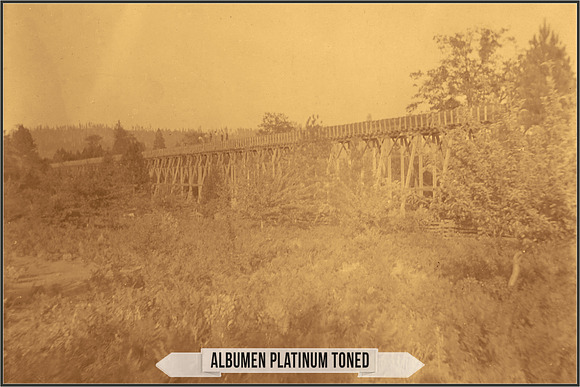 Albumen Silver Print LUTs in Add-Ons - product preview 15