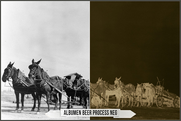 Albumen Silver Print LUTs in Add-Ons - product preview 17