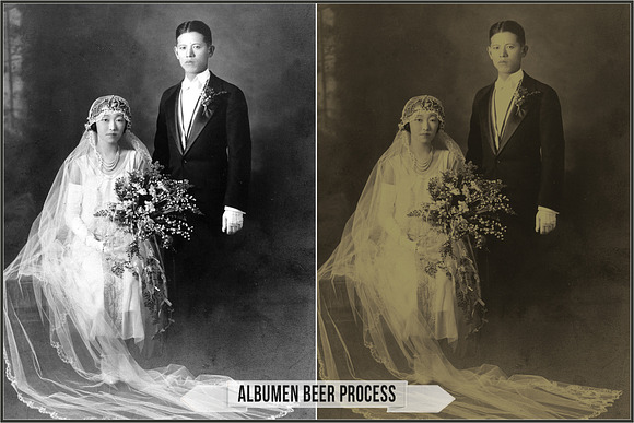 Albumen Silver Print LUTs in Add-Ons - product preview 19