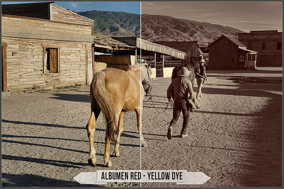 Albumen Silver Print LUTs in Add-Ons - product preview 20