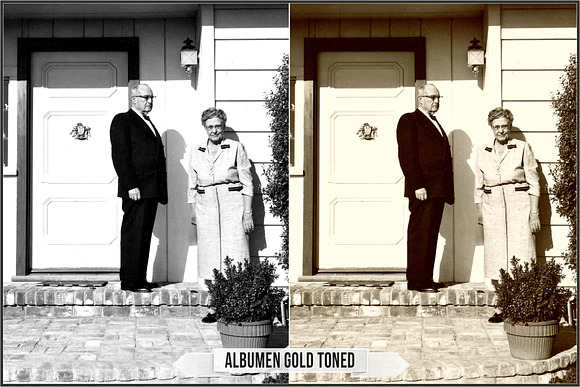 Albumen Silver Print LUTs in Add-Ons - product preview 25