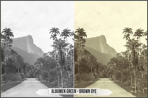 Albumen Silver Print LUTs in Add-Ons - product preview 26