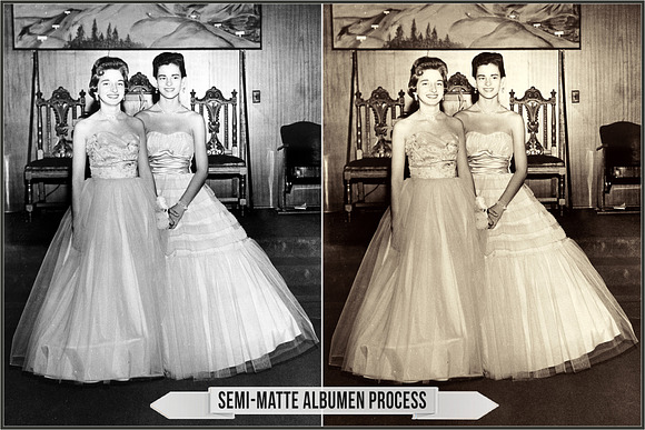 Albumen Silver Print LUTs in Add-Ons - product preview 27