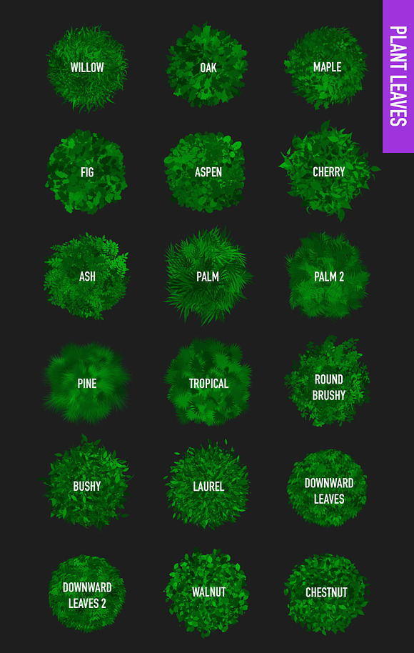 Foliage Brushes for Affinity in Add-Ons - product preview 4