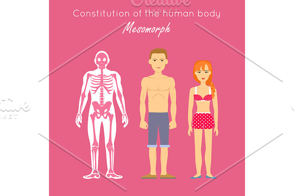 Constitution of Human Body