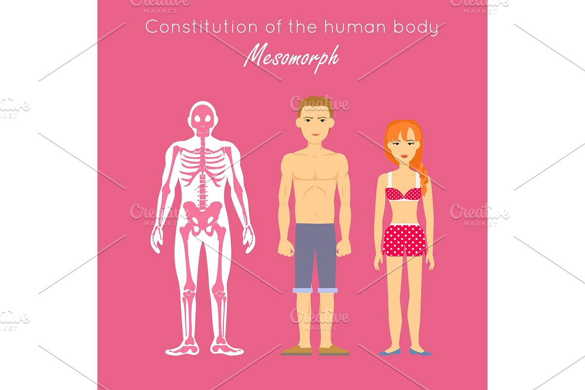 Constitution of Human Body in Illustrations - product preview 8
