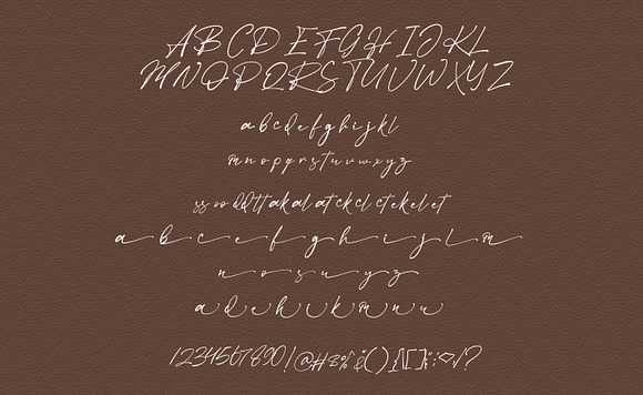 Betmo // Delight Calligraphy in Script Fonts - product preview 13