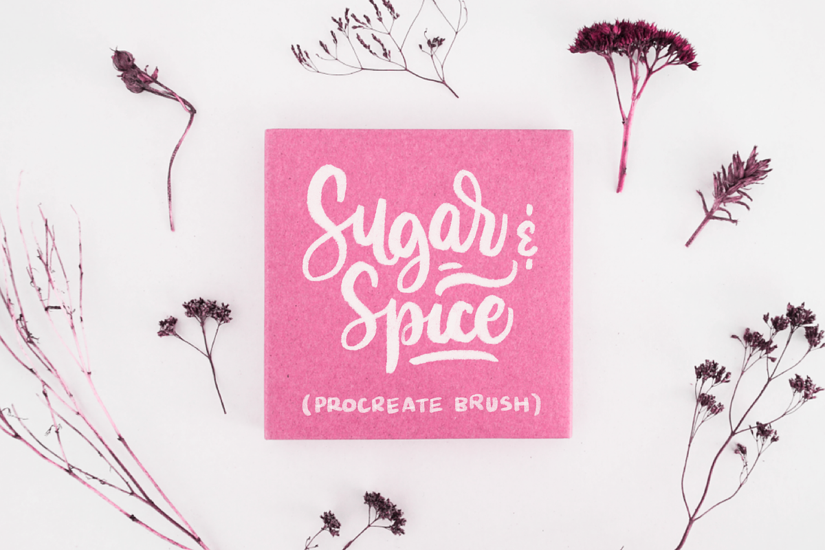 Sugar & Spice Procreate Brush in Add-Ons - product preview 8