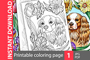 Cavalier King Charles. Coloring page