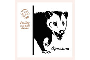 Peeking Opossum - face head isolated