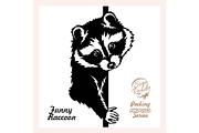 Peeking Raccoon - Funny Raccoon