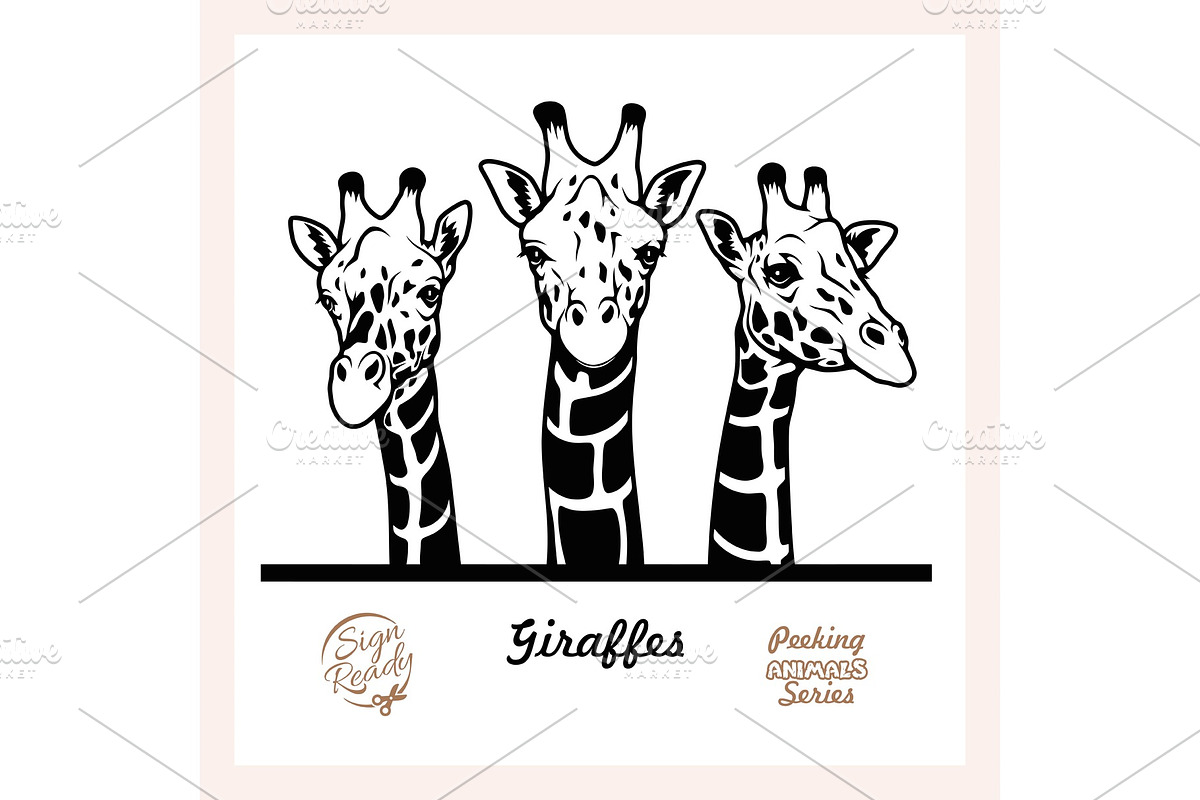 Peeking Giraffes - Funny Giraffes in Illustrations - product preview 8