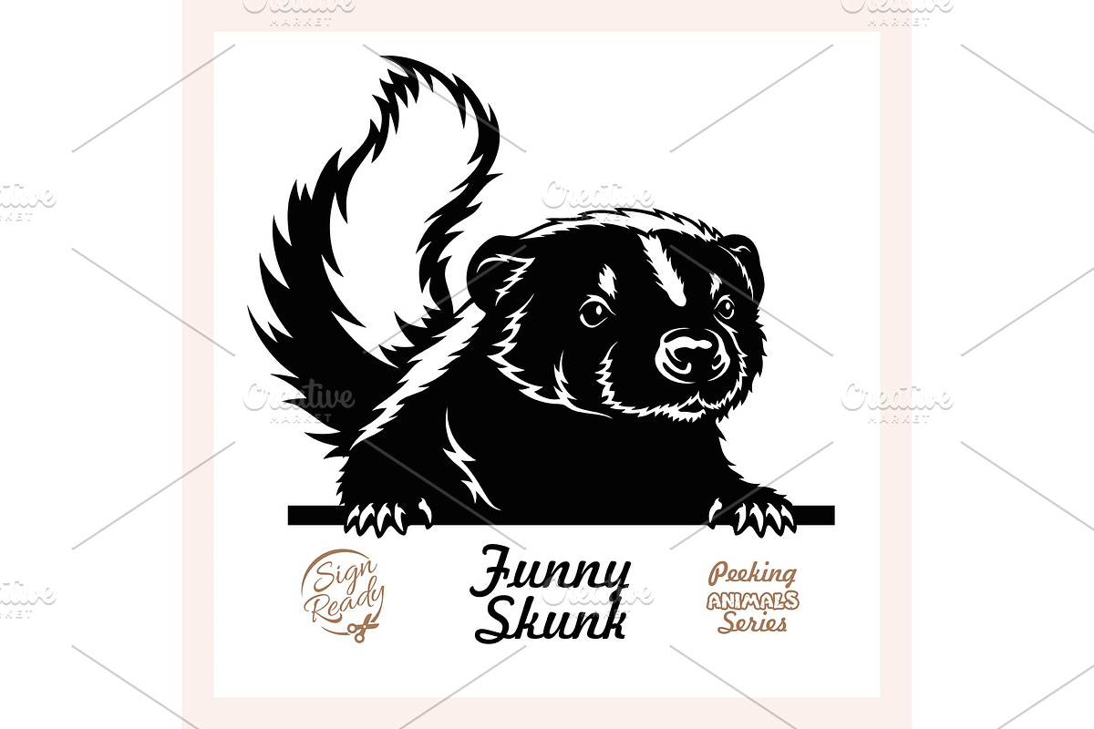Peeking Skunk - Funny Skunk peeking in Illustrations - product preview 8