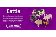 Cattle concept banner