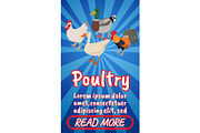 Poultry concept banner
