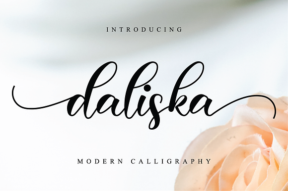 Daliska Script in Script Fonts - product preview 11