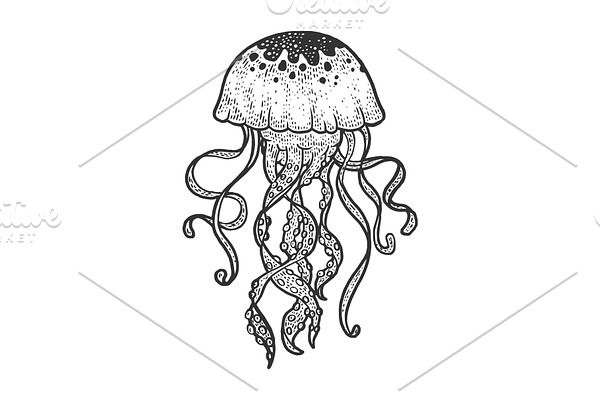 jellyfish sketch vector illustration