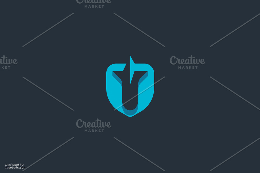 Rocket Shield Logo in Logo Templates - product preview 8