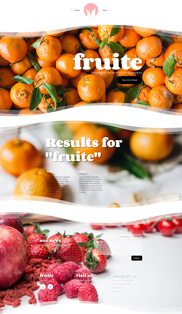 Fruite in WordPress Commerce Themes - product preview 3