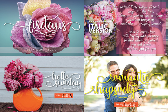 SPECIAL BUNDLE in Script Fonts - product preview 1