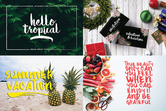 SPECIAL BUNDLE in Script Fonts - product preview 4