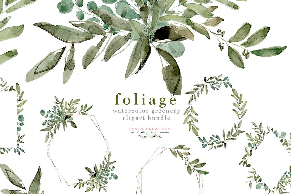 Watercolor Eucalyptus Clipart Foliag in Illustrations - product preview 8