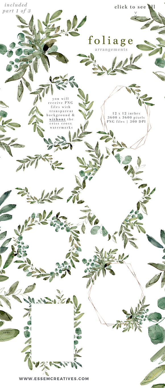 Watercolor Eucalyptus Clipart Foliag in Illustrations - product preview 3