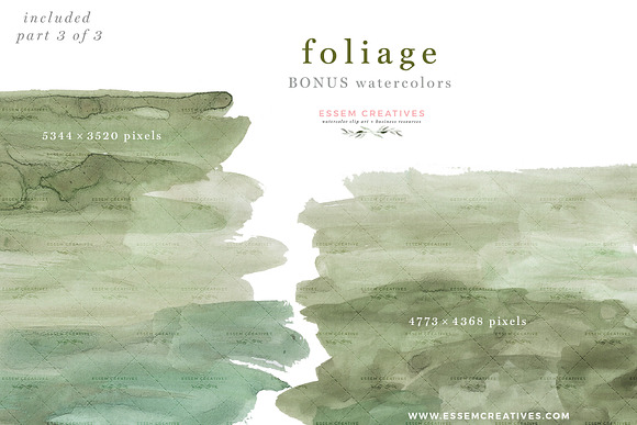 Watercolor Eucalyptus Clipart Foliag in Illustrations - product preview 5