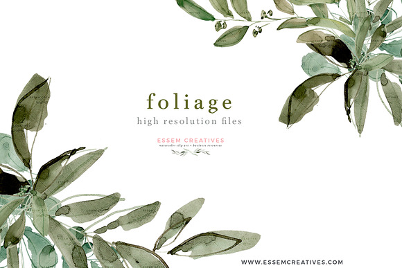 Watercolor Eucalyptus Clipart Foliag in Illustrations - product preview 6
