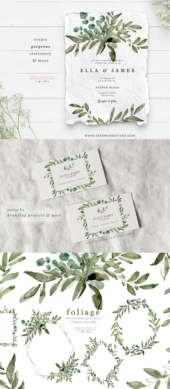 Watercolor Eucalyptus Clipart Foliag in Illustrations - product preview 7