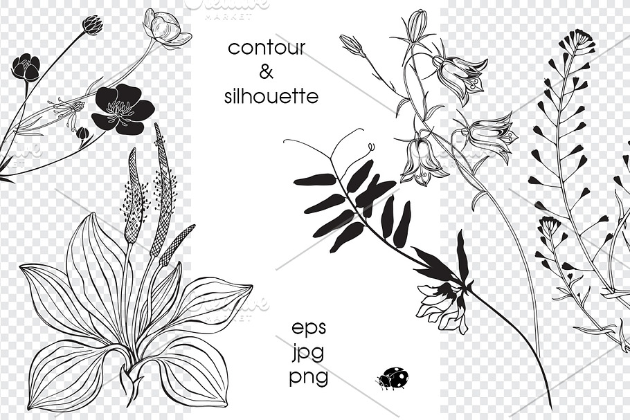 Wildherbs and flowers. in Objects - product preview 8