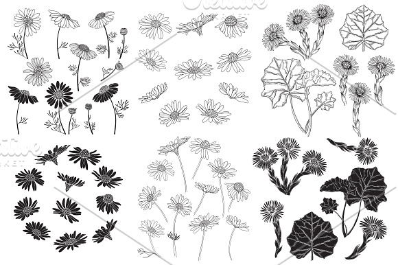 Wildherbs and flowers. in Objects - product preview 3