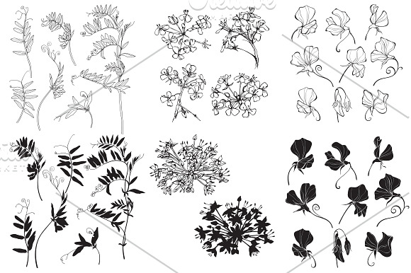 Wildherbs and flowers. in Objects - product preview 5