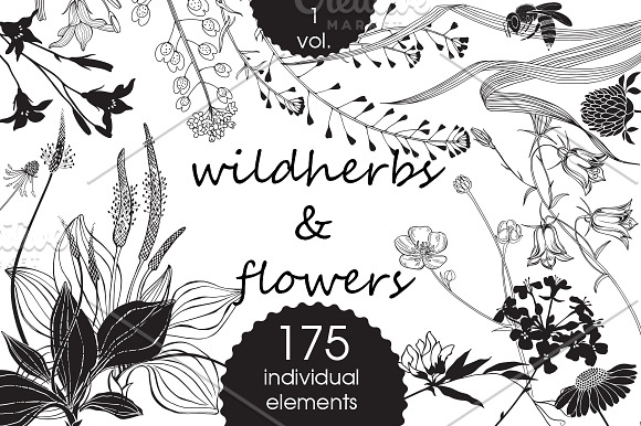 Wildherbs and flowers. in Objects - product preview 7