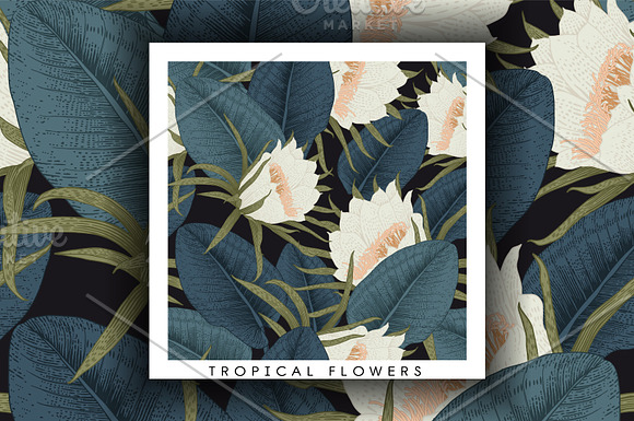 Tropical patterns (VECTOR- EPS10) in Patterns - product preview 1