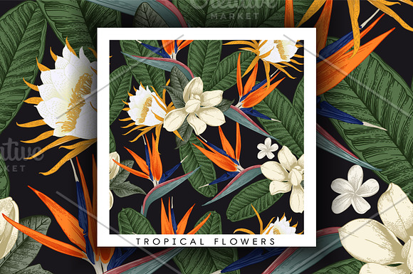 Tropical patterns (VECTOR- EPS10) in Patterns - product preview 2