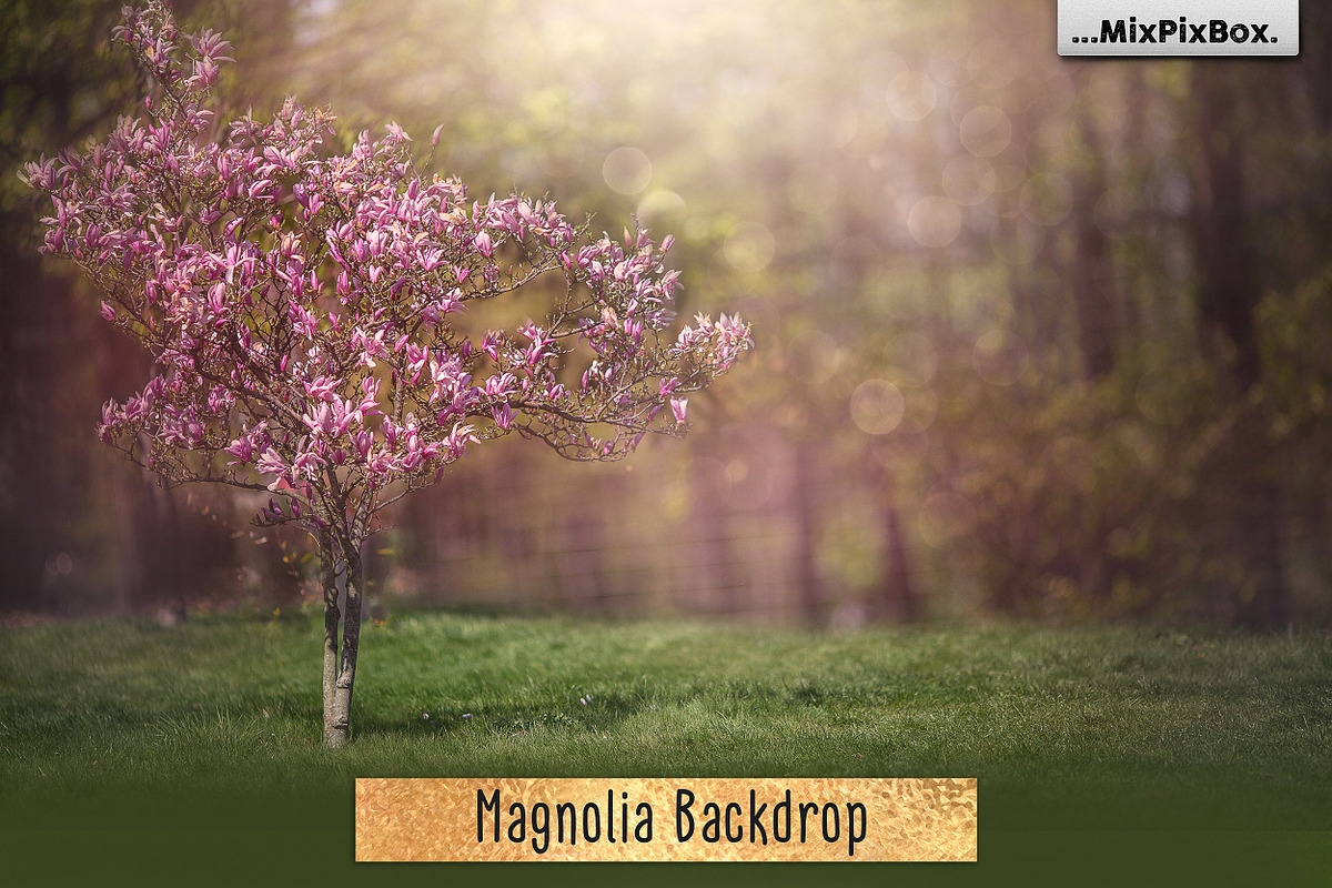 Magnolia Backdrop in Add-Ons - product preview 8