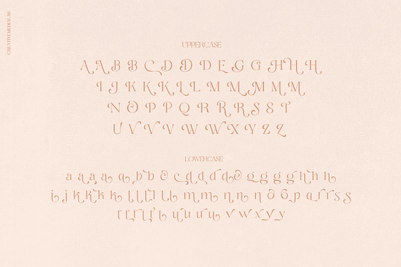 Losta Masta - Playful Serif Family in Display Fonts - product preview 10