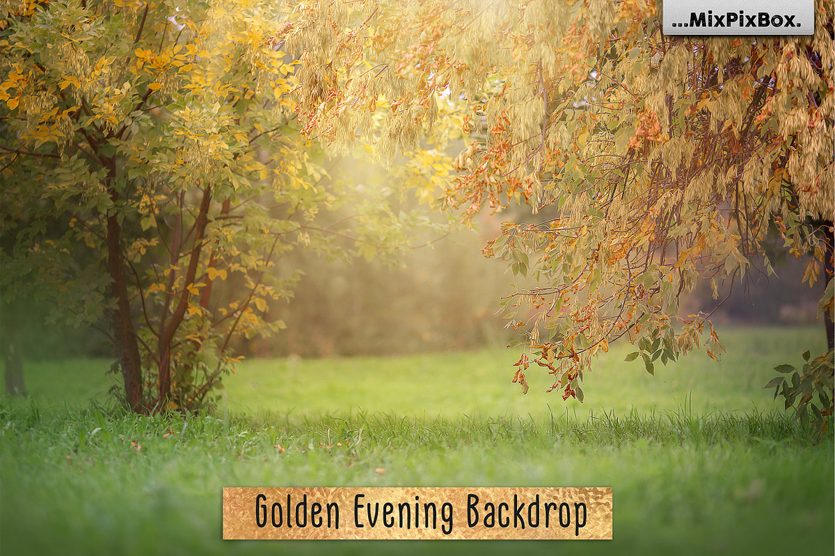 Golden Evening Backdrop in Add-Ons - product preview 8