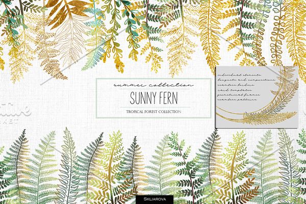 Sunny fern. Tropical forest.