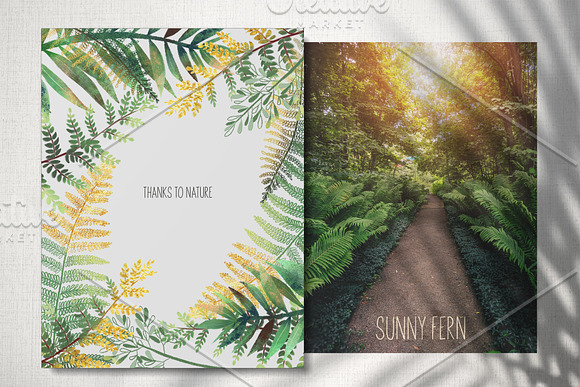 Sunny fern. Tropical forest. in Illustrations - product preview 3