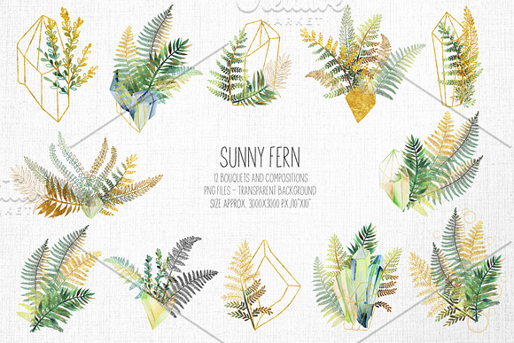 Sunny fern. Tropical forest. in Illustrations - product preview 4