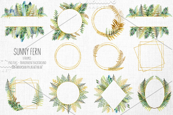 Sunny fern. Tropical forest. in Illustrations - product preview 6
