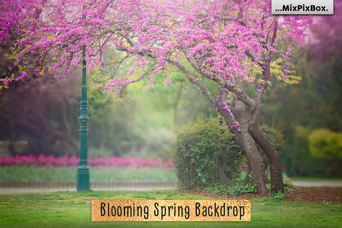 Blooming Spring Backdrop in Add-Ons - product preview 8